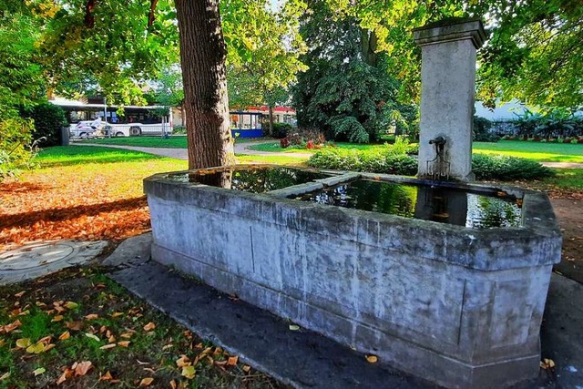 Diesen Bereich des Lublinparks wrde ... sucht man nun nach einer Alternative.  | Foto: Hannes Lauber