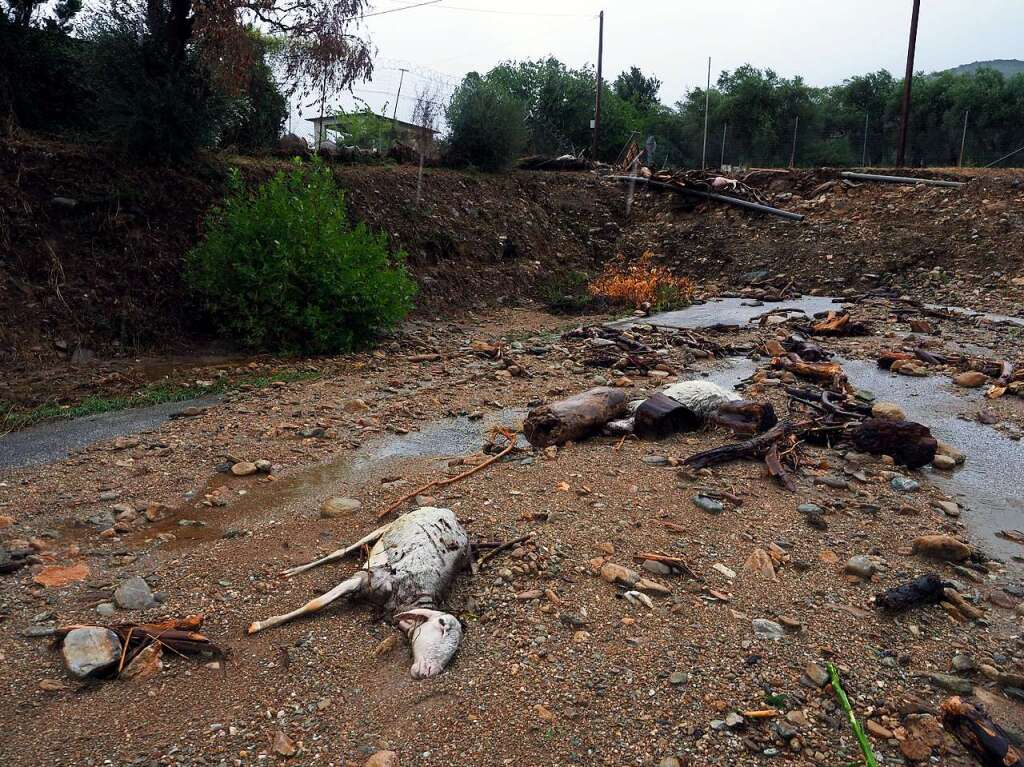 Nach verheerenden Waldbrnden hoffte man auf Entspannung durch Regen. Der kam jetzt. In Form von schweren Unwettern mit berschwemmungen. Die Trinkwasserversorgung, der Strom und das Handynetz ist in manchen Regionen ausgefallen.