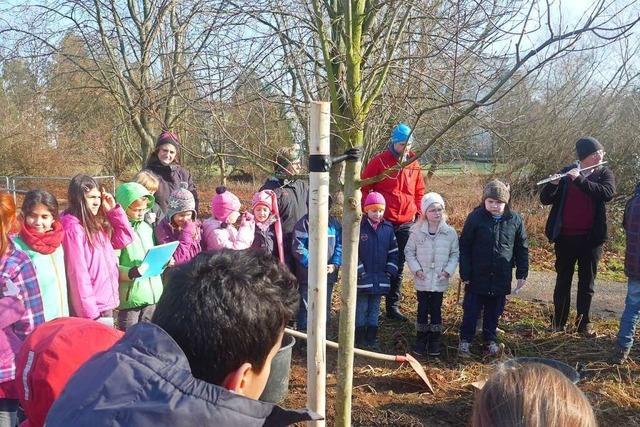 Schler der Anne-Frank-Schule in Freiburg-Betzenhausen pflanzen Baum fr Armani