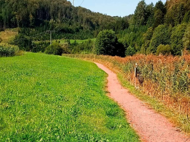 Im Litschental stehen verschiedene Arbeiten am Bach an.  | Foto: Helmut Stingl