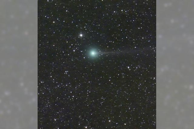 Grner Komet am Himmel zu sehen