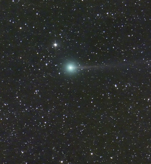 Der Komet Nishimura  | Foto: Dan Bartlett (dpa)