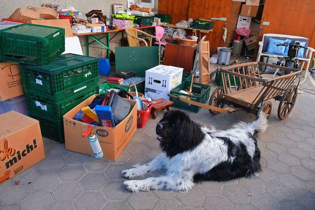 Neufundlnderin Jacky passt auf, dass vor dem Flohmarkt nichts wegkommt.  | Foto: Martin Pfefferle