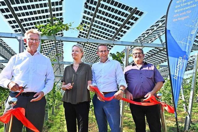 Nach dem holprigen Start der Freiburger Reben-Solaranlage gibt’s zur Einweihung viel Lob