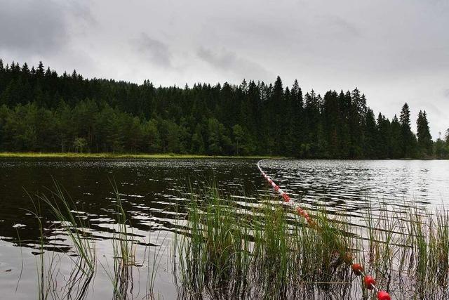 Badegäste beschädigen Schutzflächen am Lenzkircher Windgfällweiher