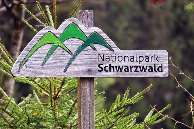 Nationalpark Schwarzwald: Wie gro ist gro genug?