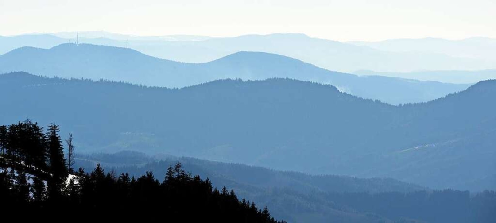 Viel Wald, viel Natur, aber auch viele...ssionen: der Nationalpark Schwarzwald.  | Foto: Franziska Kraufmann