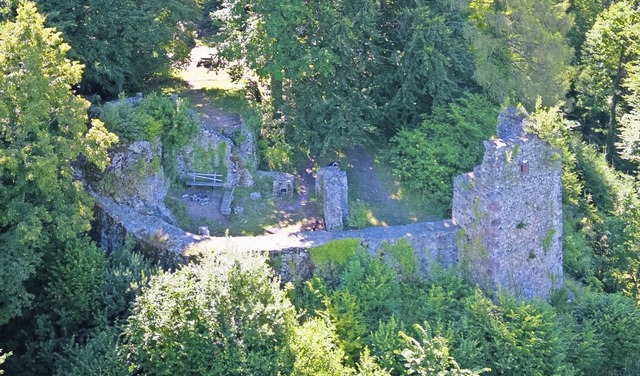 Die Schwarzenburg ist zugewucherter als die Kastelburg &#8211; und weiter weg.  | Foto: Stadt Waldkirch