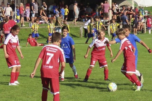 Spielfreude nach neuen Regeln beim Fuballnachwuchs