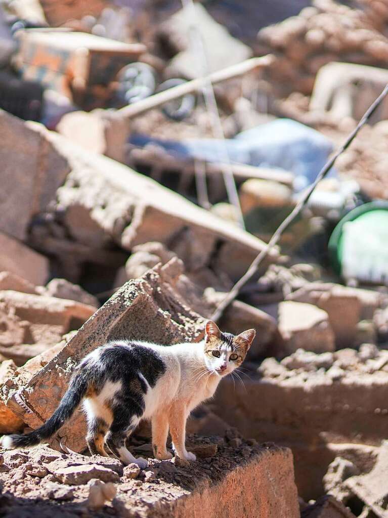 Das Epizentrum lag sdwestlich von Marrakesch und erschtterte die Erde mit einer Strke von 6,8 – 7,0. Rettungskrfte suchen fieberhaft nach berlebenden – die Zeit drngt.