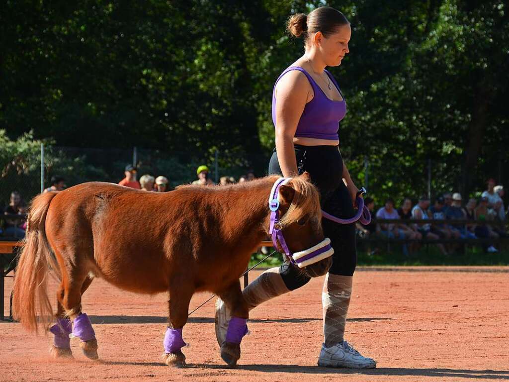 Mchtig ins Zeug legten sich groe und kleine Pferdebesitzer bei der Prsentation ihrer Tiere beim Kanderner Rossmrt. Erstmals stemmte die Stadtverwaltung die Organisation Traditionsveranstaltung komplett in Eigenregie.