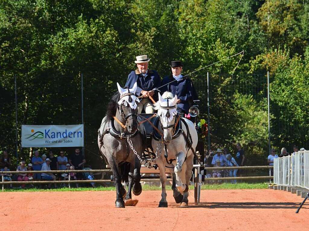 Mchtig ins Zeug legten sich groe und kleine Pferdebesitzer bei der Prsentation ihrer Tiere beim Kanderner Rossmrt. Erstmals stemmte die Stadtverwaltung die Organisation Traditionsveranstaltung komplett in Eigenregie.