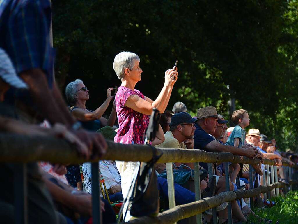 Mchtig ins Zeug legten sich groe und kleine Pferdebesitzer bei der Prsentation ihrer Tiere beim Kanderner Rossmrt. Erstmals stemmte die Stadtverwaltung die Organisation Traditionsveranstaltung komplett in Eigenregie.