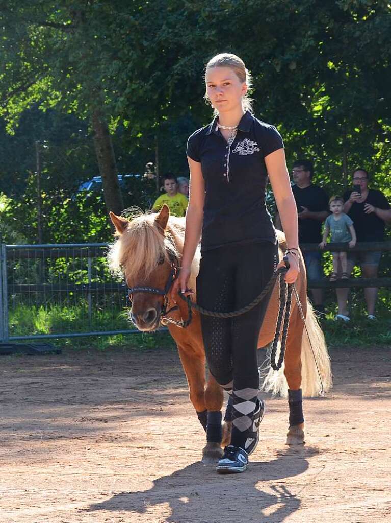 Mchtig ins Zeug legten sich groe und kleine Pferdebesitzer bei der Prsentation ihrer Tiere beim Kanderner Rossmrt. Erstmals stemmte die Stadtverwaltung die Organisation Traditionsveranstaltung komplett in Eigenregie.