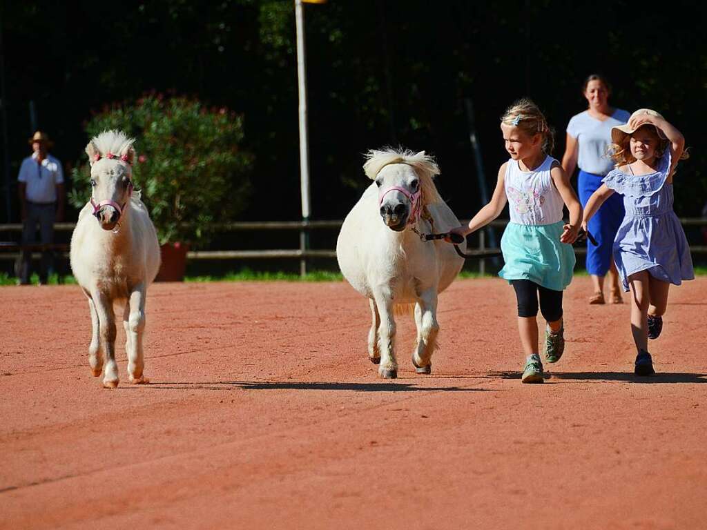 Mchtig ins Zeug legten sich groe und kleine Pferdebesitzer bei der Prsentation ihrer Tiere beim Kanderner Rossmrt. Erstmals stemmte die Stadtverwaltung die Organisation Traditionsveranstaltung komplett in Eigenregie.