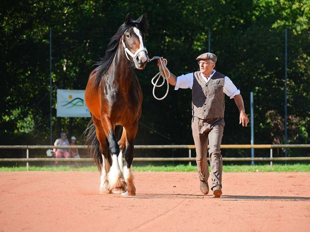 Mchtig ins Zeug legten sich groe und kleine Pferdebesitzer bei der Prsentation ihrer Tiere beim Kanderner Rossmrt. Erstmals stemmte die Stadtverwaltung die Organisation Traditionsveranstaltung komplett in Eigenregie.