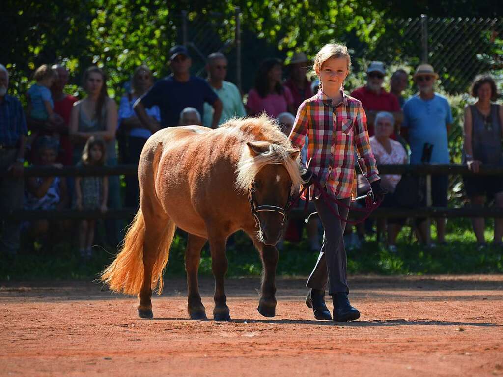 Mchtig ins Zeug legten sich groe und kleine Pferdebesitzer bei der Prsentation ihrer Tiere beim Kanderner Rossmrt. Erstmals stemmte die Stadtverwaltung die Organisation Traditionsveranstaltung komplett in Eigenregie.