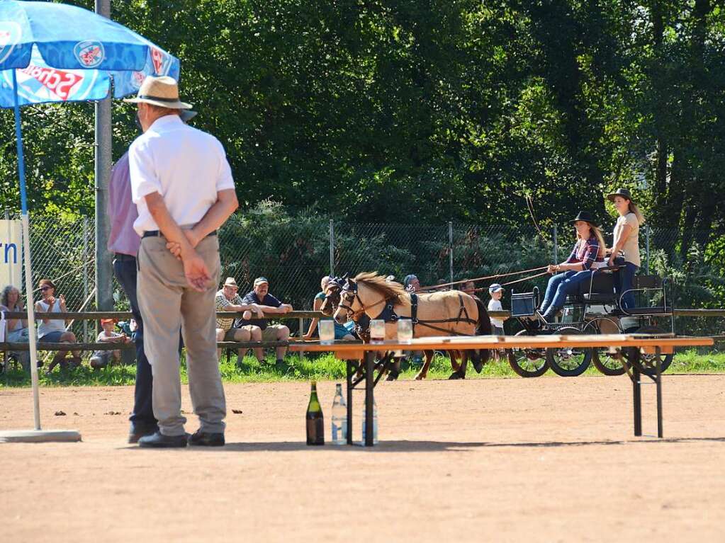 Mchtig ins Zeug legten sich groe und kleine Pferdebesitzer bei der Prsentation ihrer Tiere beim Kanderner Rossmrt. Erstmals stemmte die Stadtverwaltung die Organisation Traditionsveranstaltung komplett in Eigenregie.