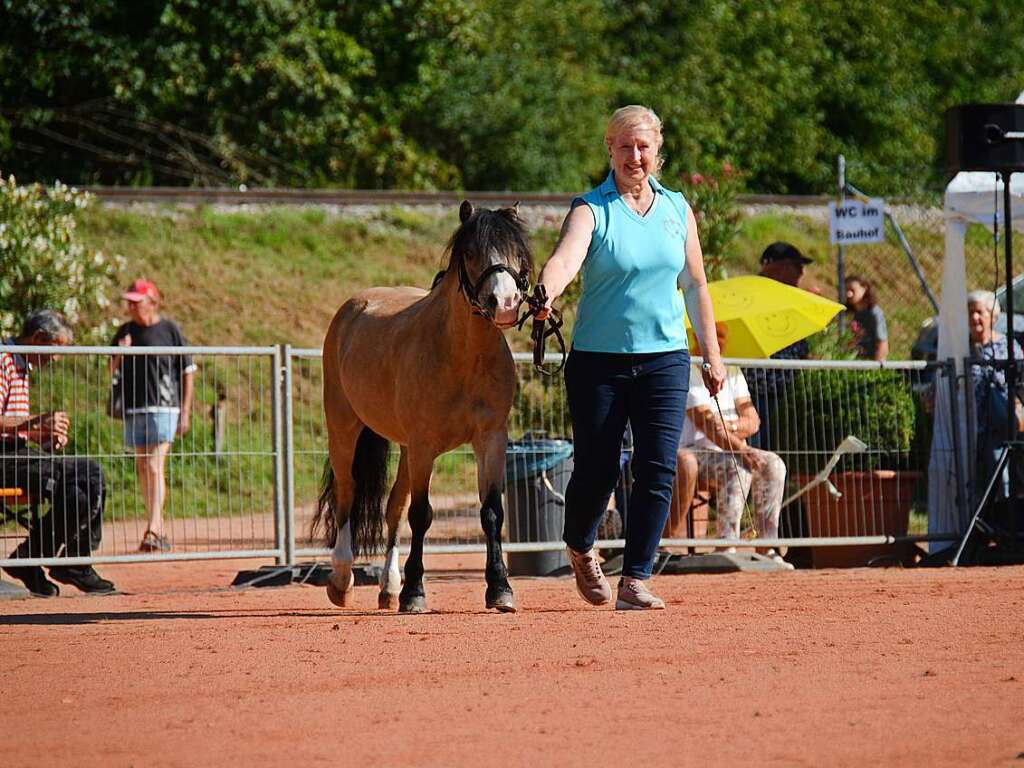 Mchtig ins Zeug legten sich groe und kleine Pferdebesitzer bei der Prsentation ihrer Tiere beim Kanderner Rossmrt. Erstmals stemmte die Stadtverwaltung die Organisation Traditionsveranstaltung komplett in Eigenregie.