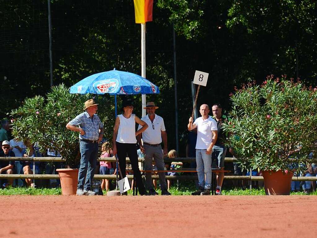 Mchtig ins Zeug legten sich groe und kleine Pferdebesitzer bei der Prsentation ihrer Tiere beim Kanderner Rossmrt. Erstmals stemmte die Stadtverwaltung die Organisation Traditionsveranstaltung komplett in Eigenregie.