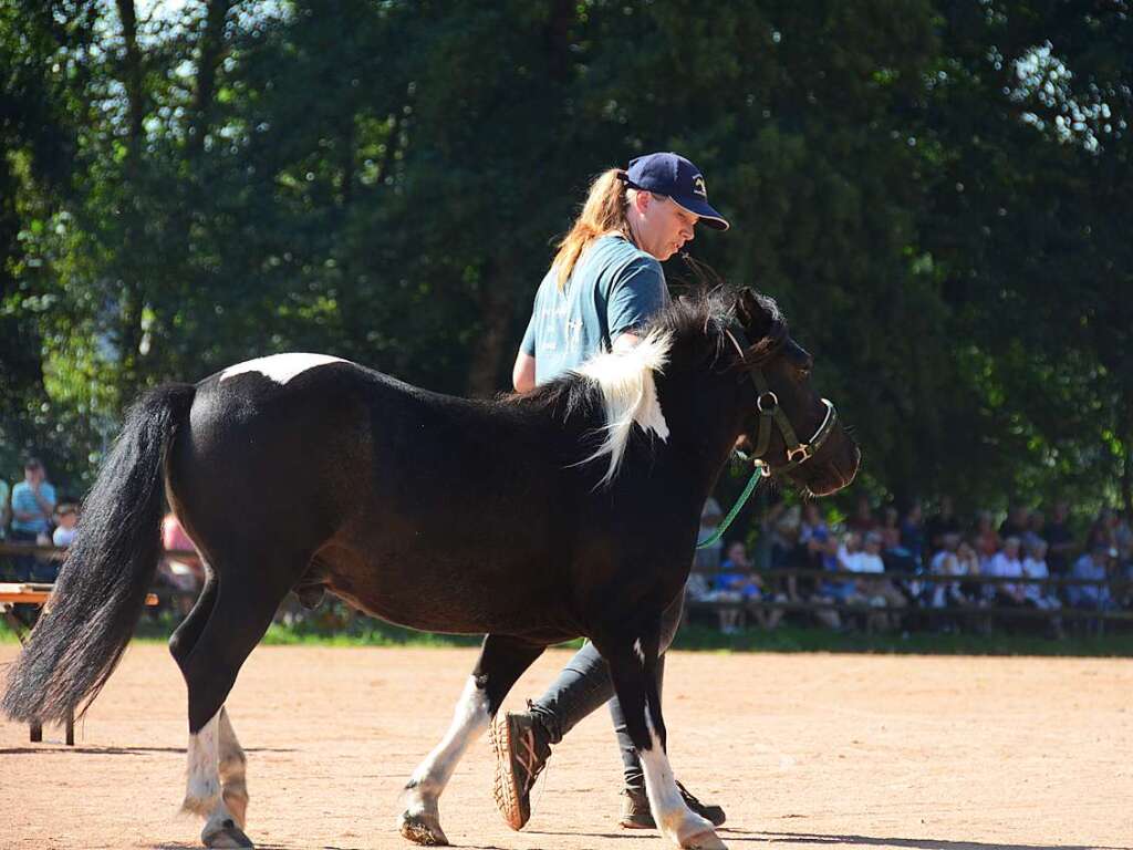 Mchtig ins Zeug legten sich groe und kleine Pferdebesitzer bei der Prsentation ihrer Tiere beim Kanderner Rossmrt. Erstmals stemmte die Stadtverwaltung die Organisation Traditionsveranstaltung komplett in Eigenregie.