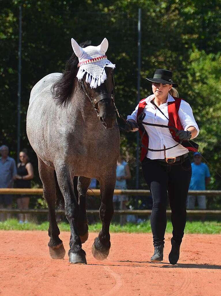 Mchtig ins Zeug legten sich groe und kleine Pferdebesitzer bei der Prsentation ihrer Tiere beim Kanderner Rossmrt. Erstmals stemmte die Stadtverwaltung die Organisation Traditionsveranstaltung komplett in Eigenregie.