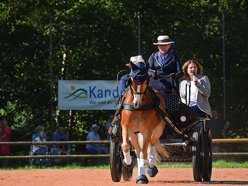 Mchtig ins Zeug legten sich groe und kleine Pferdebesitzer bei der Prsentation ihrer Tiere beim Kanderner Rossmrt. Erstmals stemmte die Stadtverwaltung die Organisation Traditionsveranstaltung komplett in Eigenregie.