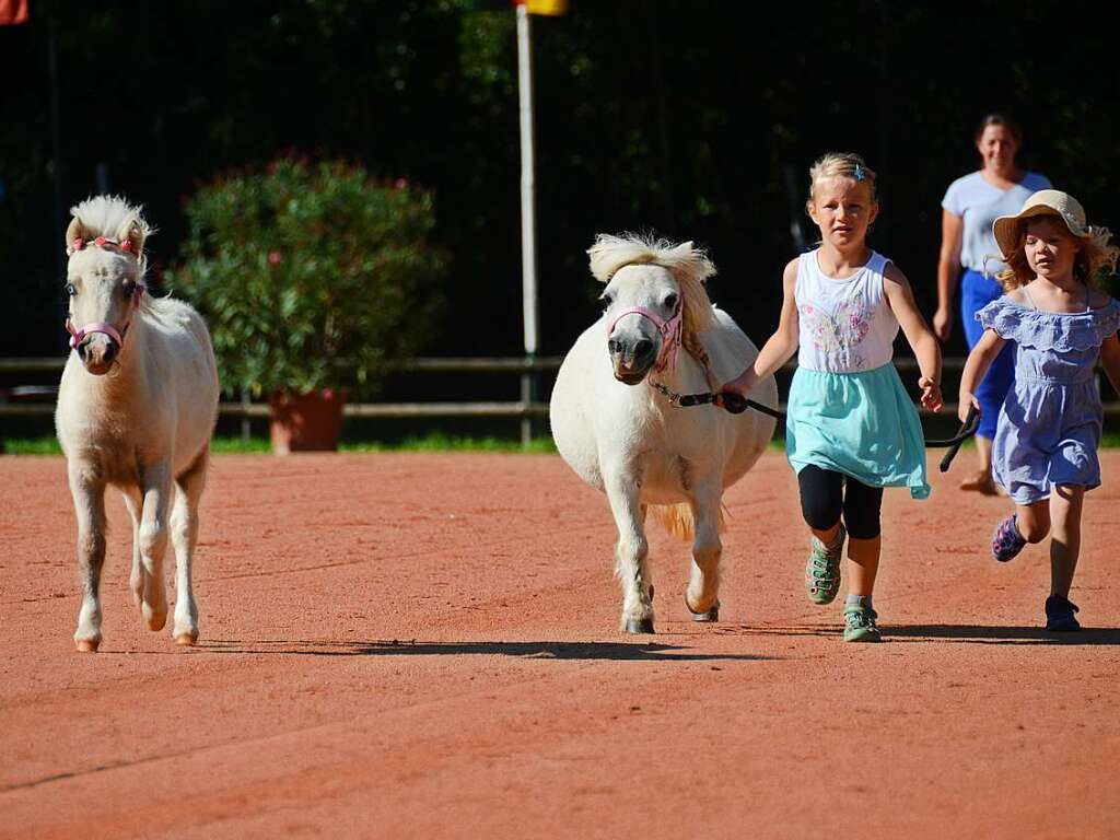 Mchtig ins Zeug legten sich groe und kleine Pferdebesitzer bei der Prsentation ihrer Tiere beim Kanderner Rossmrt. Erstmals stemmte die Stadtverwaltung die Organisation Traditionsveranstaltung komplett in Eigenregie.