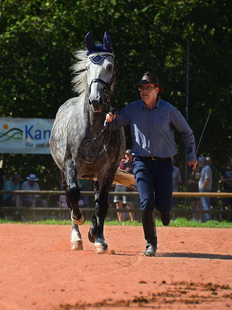 Mchtig ins Zeug legten sich groe und kleine Pferdebesitzer bei der Prsentation ihrer Tiere beim Kanderner Rossmrt. Erstmals stemmte die Stadtverwaltung die Organisation Traditionsveranstaltung komplett in Eigenregie.