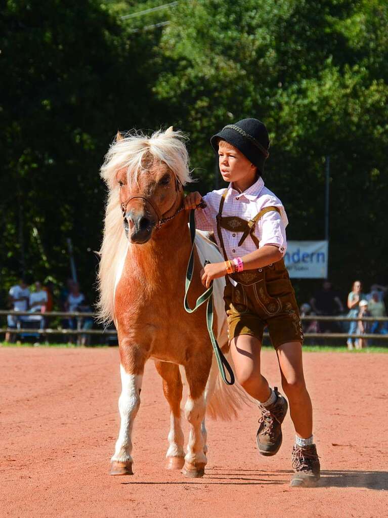 Mchtig ins Zeug legten sich groe und kleine Pferdebesitzer bei der Prsentation ihrer Tiere beim Kanderner Rossmrt. Erstmals stemmte die Stadtverwaltung die Organisation Traditionsveranstaltung komplett in Eigenregie.