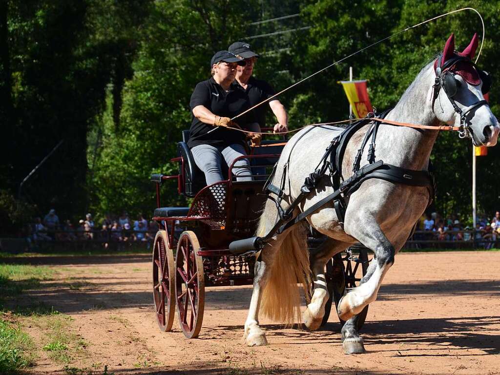 Mchtig ins Zeug legten sich groe und kleine Pferdebesitzer bei der Prsentation ihrer Tiere beim Kanderner Rossmrt. Erstmals stemmte die Stadtverwaltung die Organisation Traditionsveranstaltung komplett in Eigenregie.