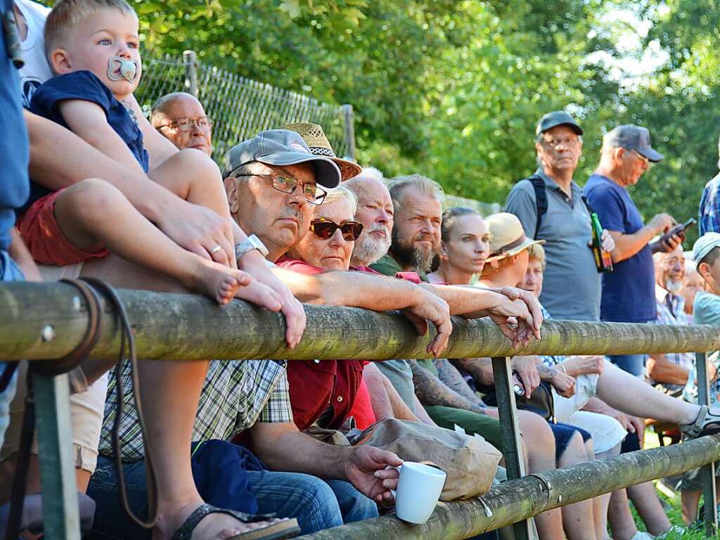 Mchtig ins Zeug legten sich groe und kleine Pferdebesitzer bei der Prsentation ihrer Tiere beim Kanderner Rossmrt. Erstmals stemmte die Stadtverwaltung die Organisation Traditionsveranstaltung komplett in Eigenregie.