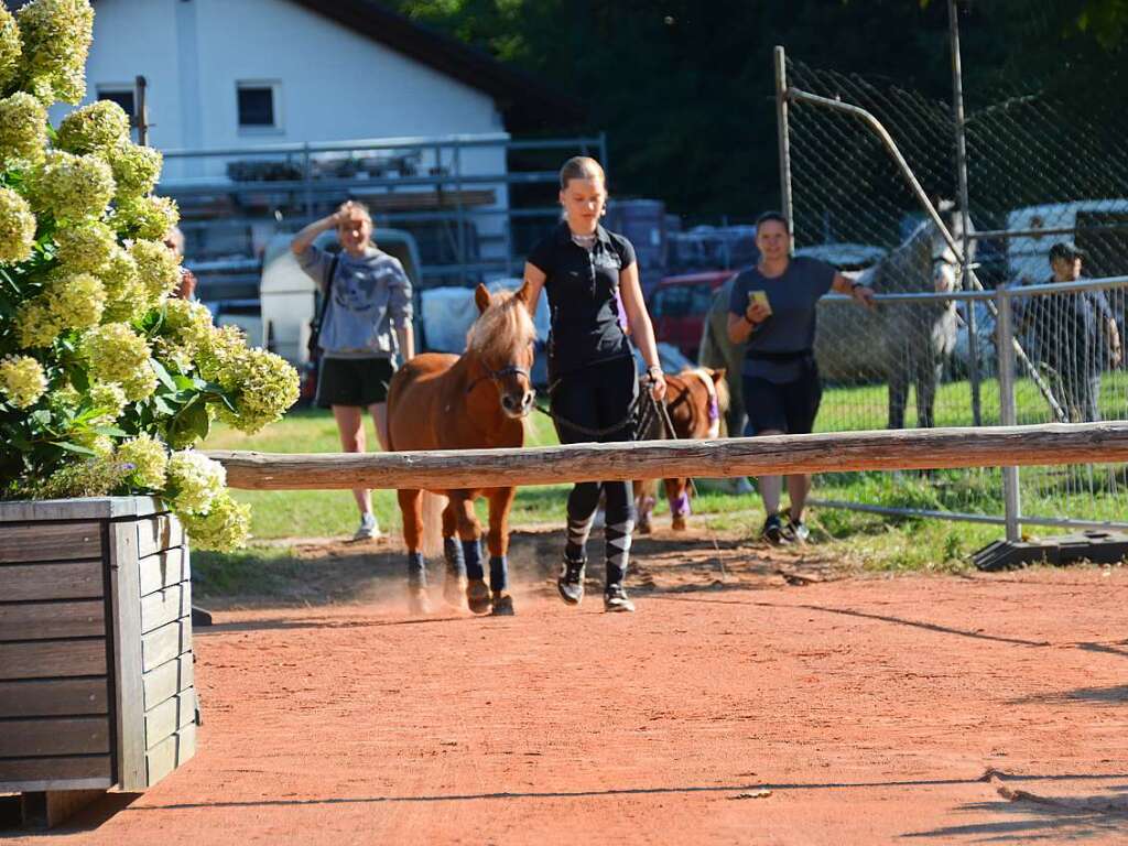 Mchtig ins Zeug legten sich groe und kleine Pferdebesitzer bei der Prsentation ihrer Tiere beim Kanderner Rossmrt. Erstmals stemmte die Stadtverwaltung die Organisation Traditionsveranstaltung komplett in Eigenregie.