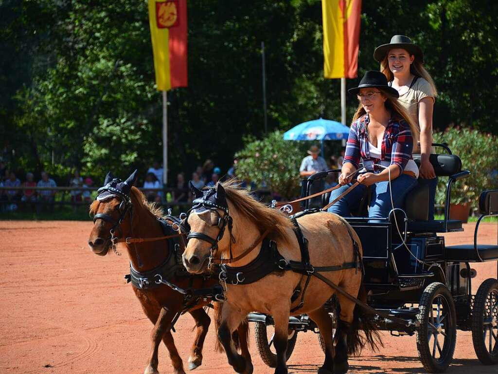 Mchtig ins Zeug legten sich groe und kleine Pferdebesitzer bei der Prsentation ihrer Tiere beim Kanderner Rossmrt. Erstmals stemmte die Stadtverwaltung die Organisation Traditionsveranstaltung komplett in Eigenregie.