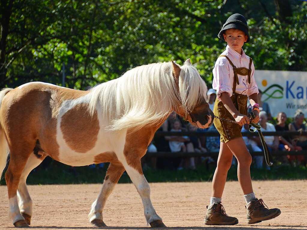 Mchtig ins Zeug legten sich groe und kleine Pferdebesitzer bei der Prsentation ihrer Tiere beim Kanderner Rossmrt. Erstmals stemmte die Stadtverwaltung die Organisation Traditionsveranstaltung komplett in Eigenregie.