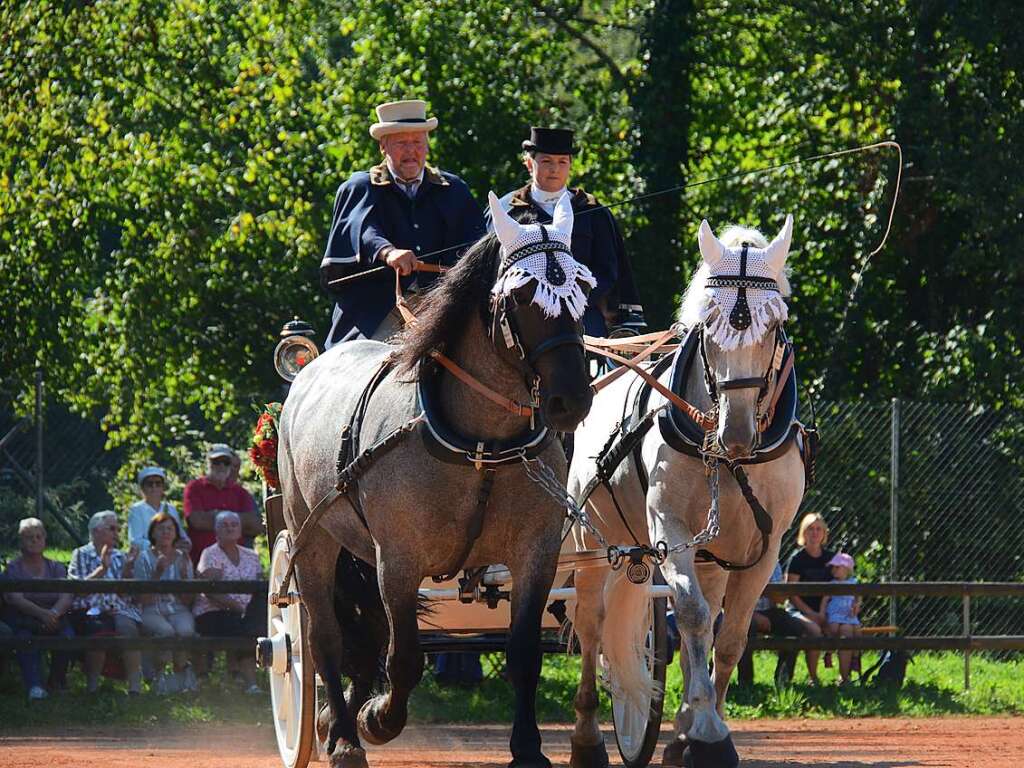 Mchtig ins Zeug legten sich groe und kleine Pferdebesitzer bei der Prsentation ihrer Tiere beim Kanderner Rossmrt. Erstmals stemmte die Stadtverwaltung die Organisation Traditionsveranstaltung komplett in Eigenregie.