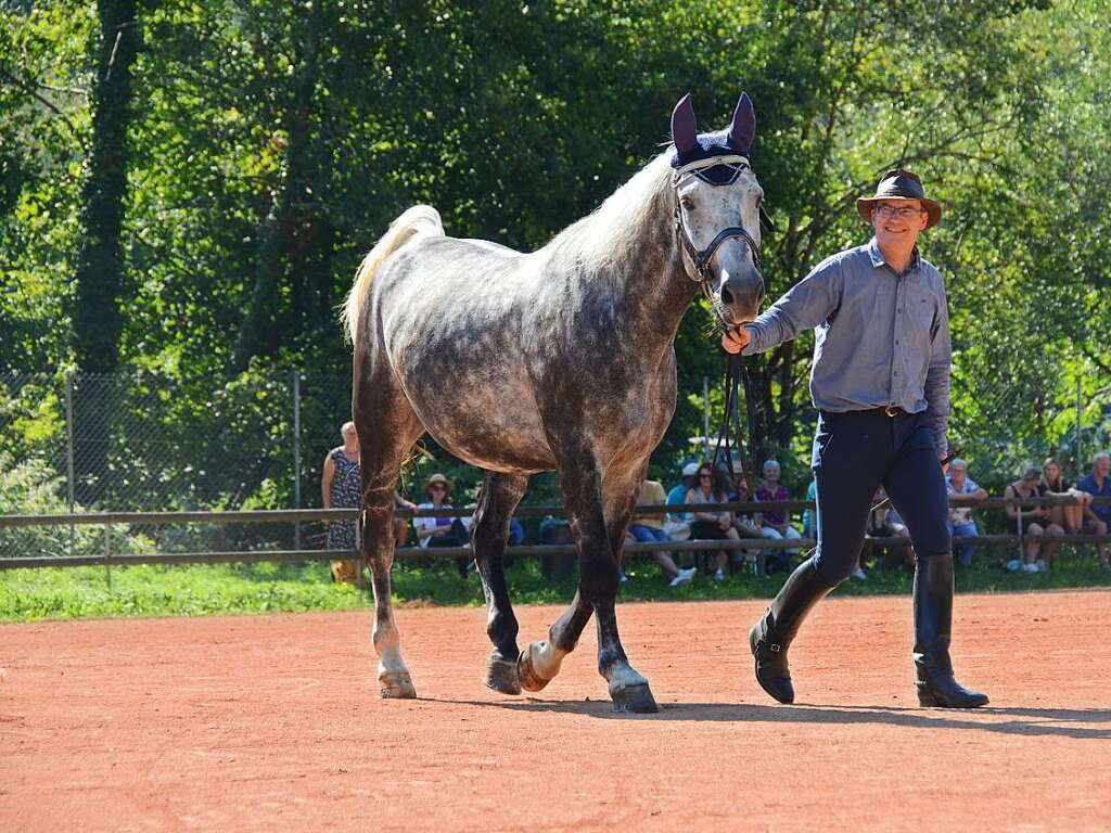 Mchtig ins Zeug legten sich groe und kleine Pferdebesitzer bei der Prsentation ihrer Tiere beim Kanderner Rossmrt. Erstmals stemmte die Stadtverwaltung die Organisation Traditionsveranstaltung komplett in Eigenregie.