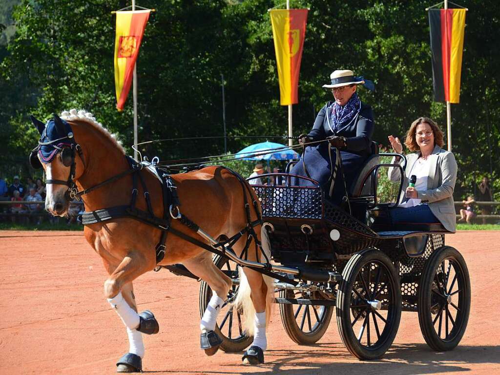 Mchtig ins Zeug legten sich groe und kleine Pferdebesitzer bei der Prsentation ihrer Tiere beim Kanderner Rossmrt. Erstmals stemmte die Stadtverwaltung die Organisation Traditionsveranstaltung komplett in Eigenregie.