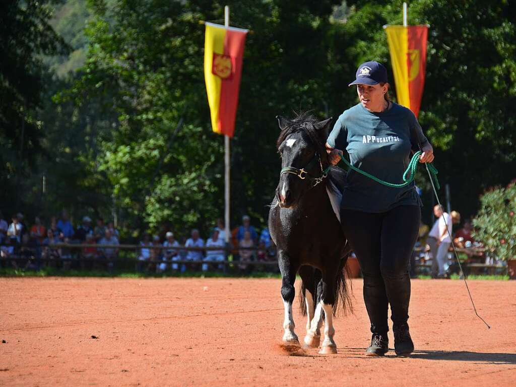 Mchtig ins Zeug legten sich groe und kleine Pferdebesitzer bei der Prsentation ihrer Tiere beim Kanderner Rossmrt. Erstmals stemmte die Stadtverwaltung die Organisation Traditionsveranstaltung komplett in Eigenregie.