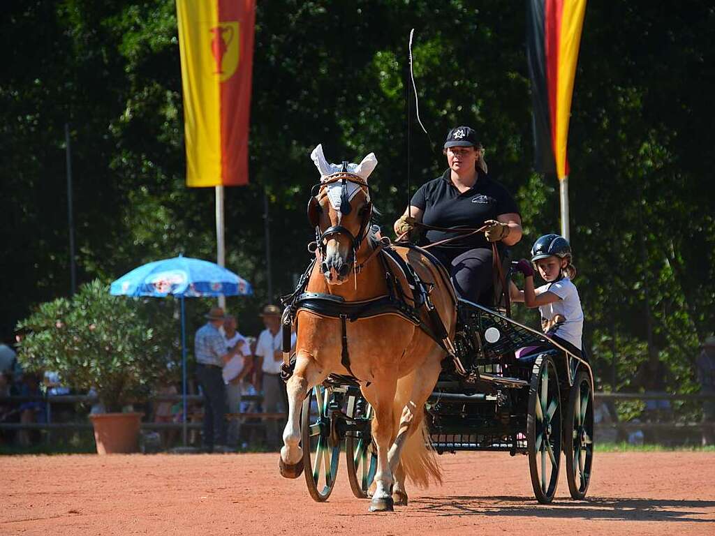 Mchtig ins Zeug legten sich groe und kleine Pferdebesitzer bei der Prsentation ihrer Tiere beim Kanderner Rossmrt. Erstmals stemmte die Stadtverwaltung die Organisation Traditionsveranstaltung komplett in Eigenregie.