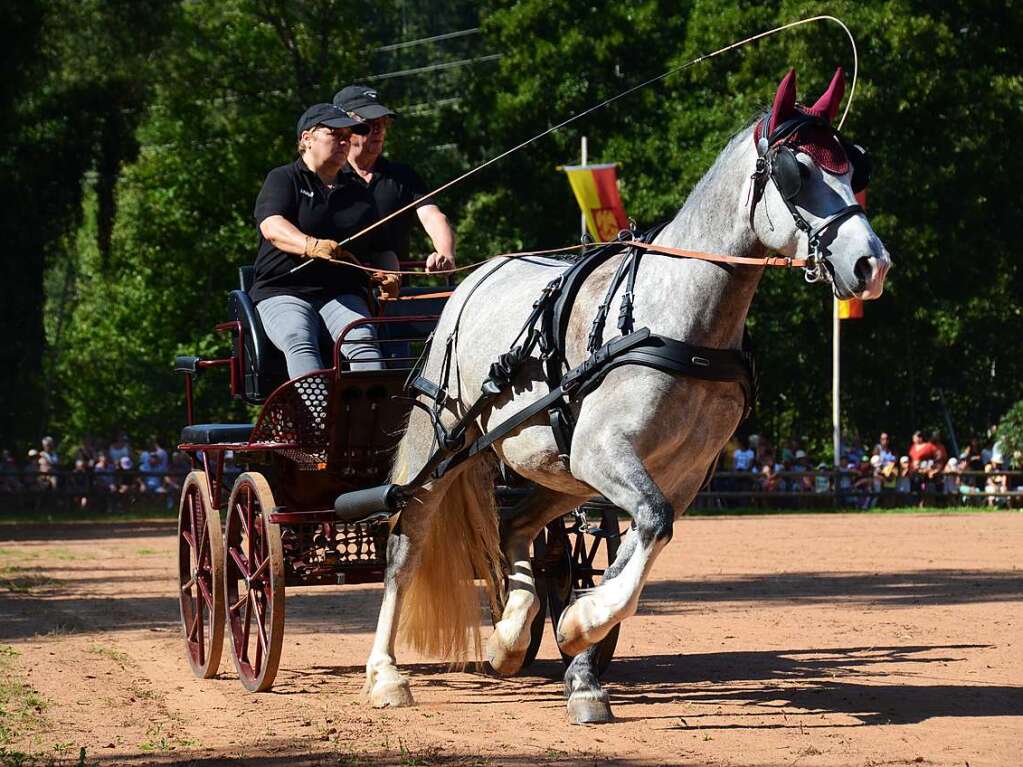 Mchtig ins Zeug legten sich groe und kleine Pferdebesitzer bei der Prsentation ihrer Tiere beim Kanderner Rossmrt. Erstmals stemmte die Stadtverwaltung die Organisation Traditionsveranstaltung komplett in Eigenregie.