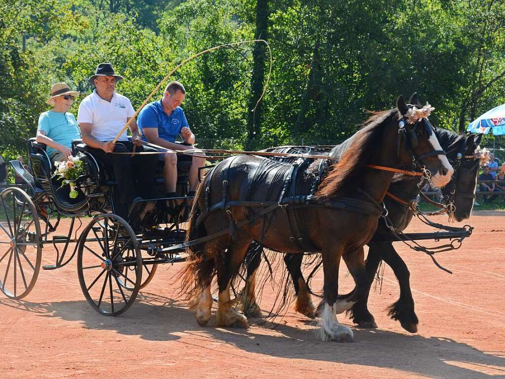 Mchtig ins Zeug legten sich groe und kleine Pferdebesitzer bei der Prsentation ihrer Tiere beim Kanderner Rossmrt. Erstmals stemmte die Stadtverwaltung die Organisation Traditionsveranstaltung komplett in Eigenregie.