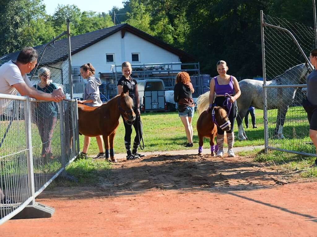 Mchtig ins Zeug legten sich groe und kleine Pferdebesitzer bei der Prsentation ihrer Tiere beim Kanderner Rossmrt. Erstmals stemmte die Stadtverwaltung die Organisation Traditionsveranstaltung komplett in Eigenregie.