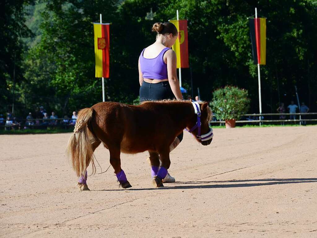 Mchtig ins Zeug legten sich groe und kleine Pferdebesitzer bei der Prsentation ihrer Tiere beim Kanderner Rossmrt. Erstmals stemmte die Stadtverwaltung die Organisation Traditionsveranstaltung komplett in Eigenregie.