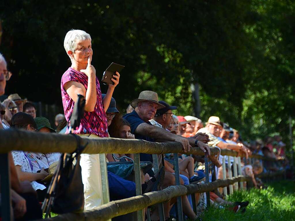 Mchtig ins Zeug legten sich groe und kleine Pferdebesitzer bei der Prsentation ihrer Tiere beim Kanderner Rossmrt. Erstmals stemmte die Stadtverwaltung die Organisation Traditionsveranstaltung komplett in Eigenregie.