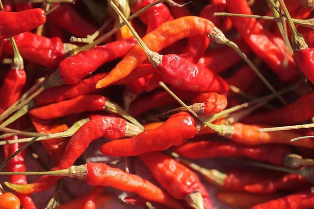 Besonders scharfe Chilis knnen gefhrlich sein.  | Foto: agarianna (stock.adobe.com)