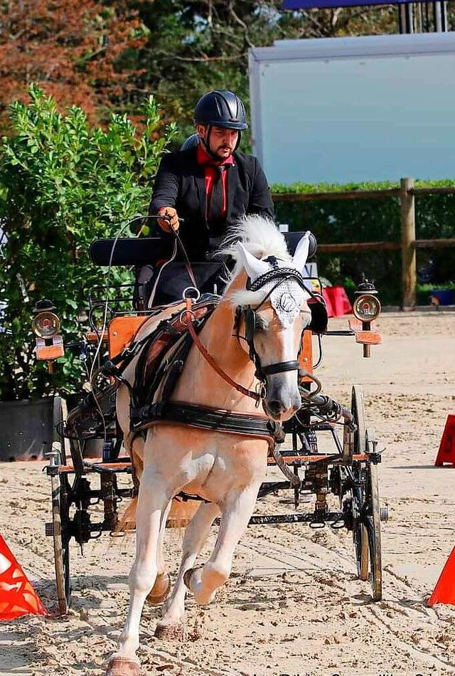 Rasant geht es durch den Hindernisparcours.   | Foto: Lux Driving Competition