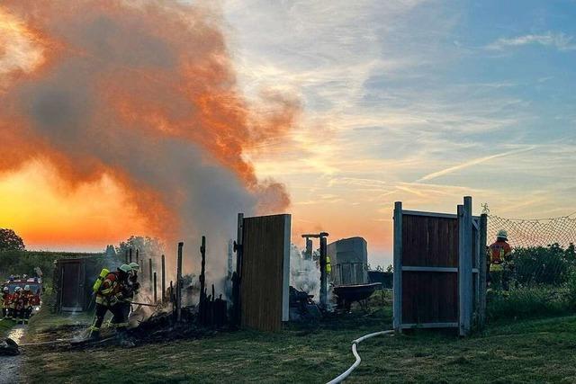 Hütte in Hohberg brennt ab – Landwirt kann Maschinen gerade noch retten