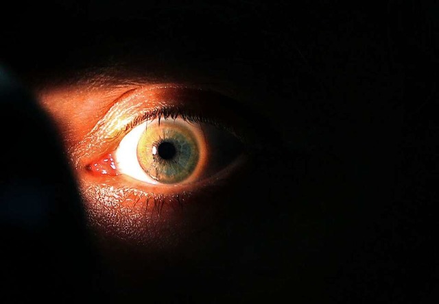 Spione sind Personen, die andere heiml...schadet sie jedoch den Ausspionierten.  | Foto: Karl-Josef Hildenbrand