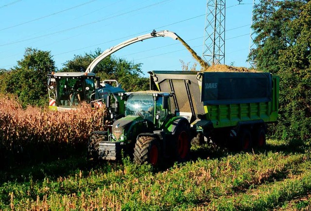 Landwirt Martin Jger bei der Maisernt...r als Brennstoff fr die Biogasanlage.  | Foto: Sdkurier